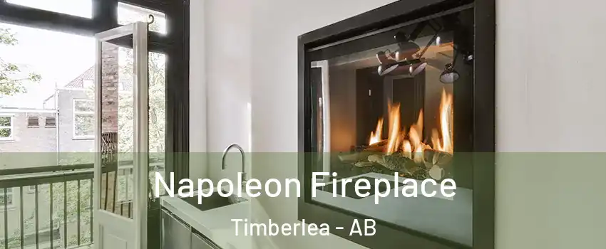  Napoleon Fireplace Timberlea - AB