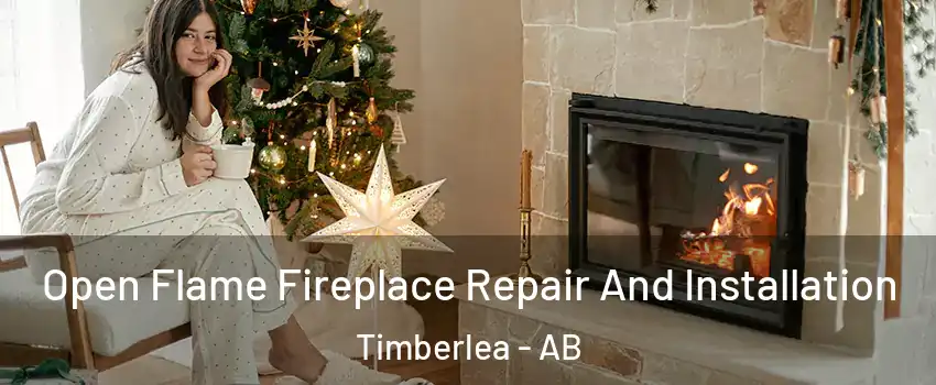  Open Flame Fireplace Repair And Installation Timberlea - AB