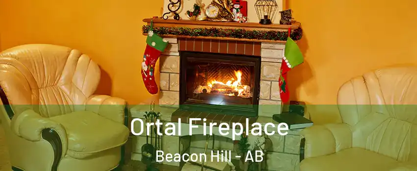  Ortal Fireplace Beacon Hill - AB