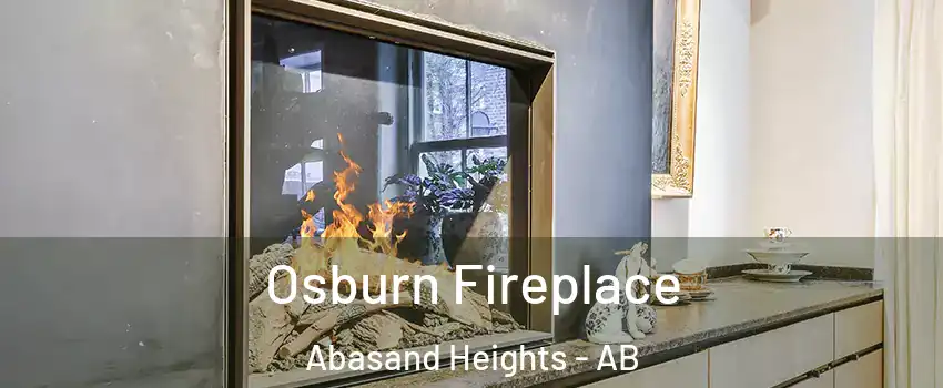  Osburn Fireplace Abasand Heights - AB