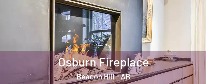  Osburn Fireplace Beacon Hill - AB