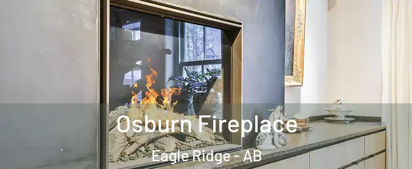 Osburn Fireplace Eagle Ridge - AB