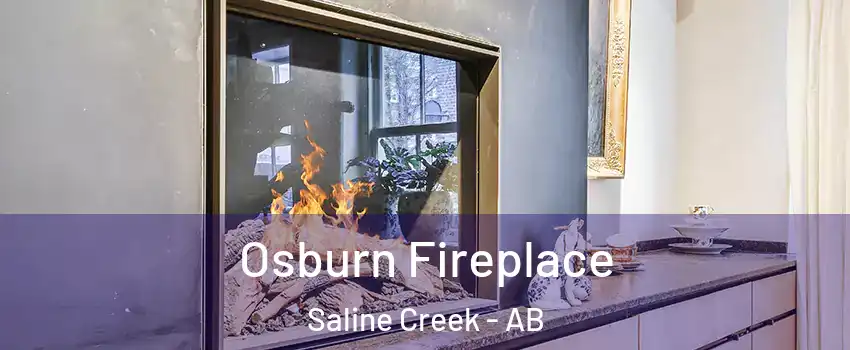  Osburn Fireplace Saline Creek - AB