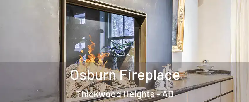  Osburn Fireplace Thickwood Heights - AB