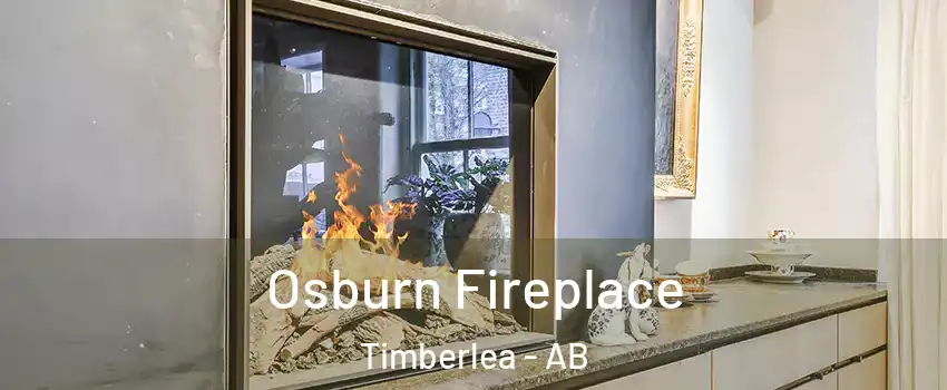  Osburn Fireplace Timberlea - AB