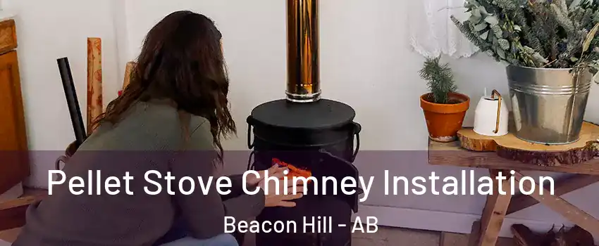  Pellet Stove Chimney Installation Beacon Hill - AB