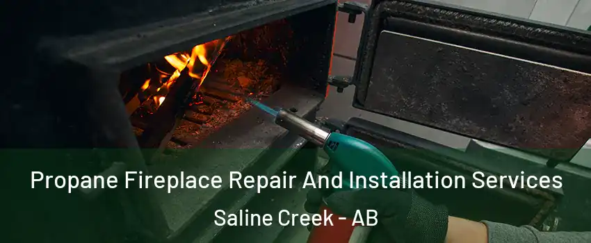  Propane Fireplace Repair And Installation Services Saline Creek - AB