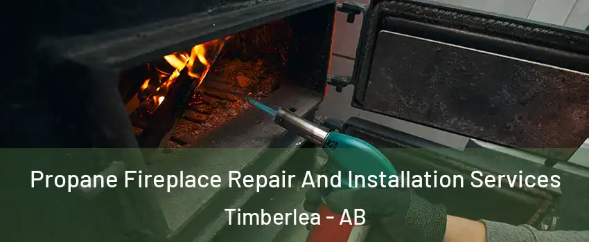 Propane Fireplace Repair And Installation Services Timberlea - AB