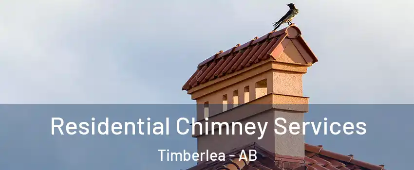  Residential Chimney Services Timberlea - AB
