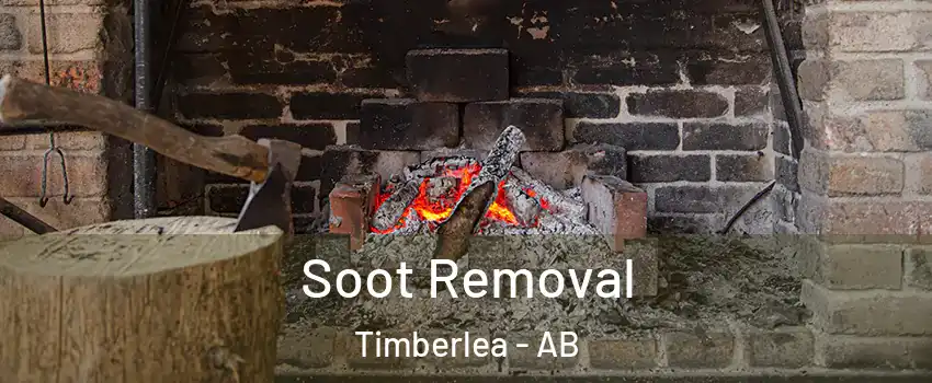  Soot Removal Timberlea - AB