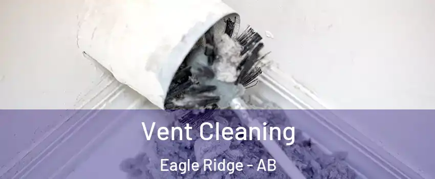  Vent Cleaning Eagle Ridge - AB