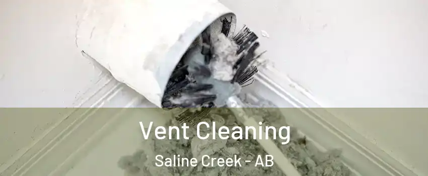 Vent Cleaning Saline Creek - AB