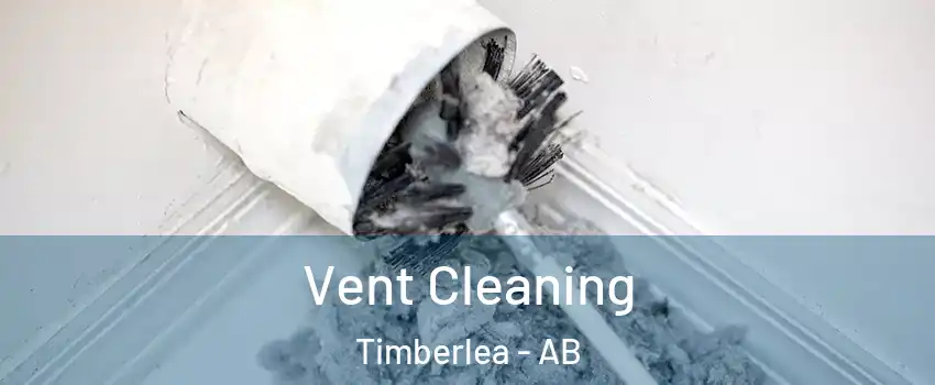  Vent Cleaning Timberlea - AB