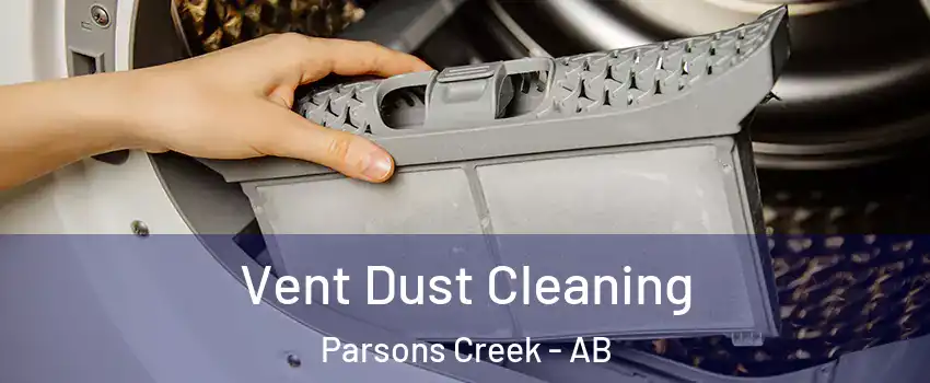  Vent Dust Cleaning Parsons Creek - AB