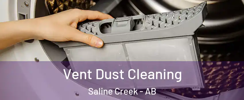  Vent Dust Cleaning Saline Creek - AB