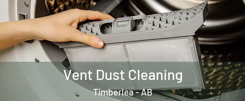  Vent Dust Cleaning Timberlea - AB