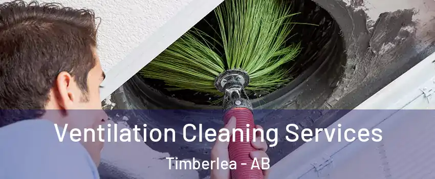  Ventilation Cleaning Services Timberlea - AB