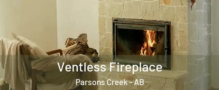  Ventless Fireplace Parsons Creek - AB