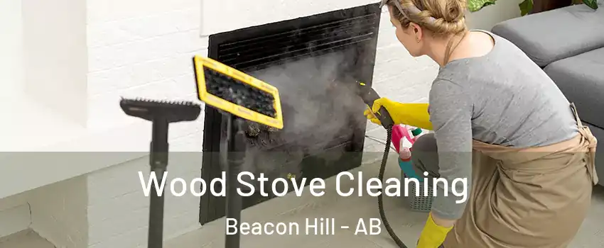  Wood Stove Cleaning Beacon Hill - AB