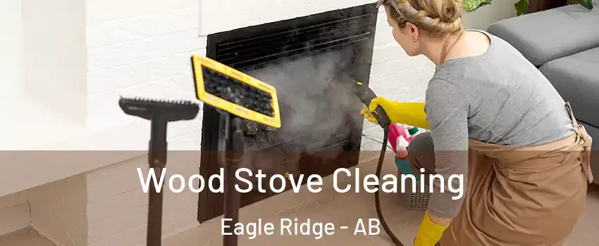  Wood Stove Cleaning Eagle Ridge - AB