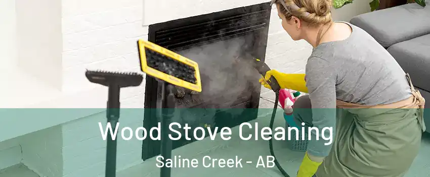  Wood Stove Cleaning Saline Creek - AB