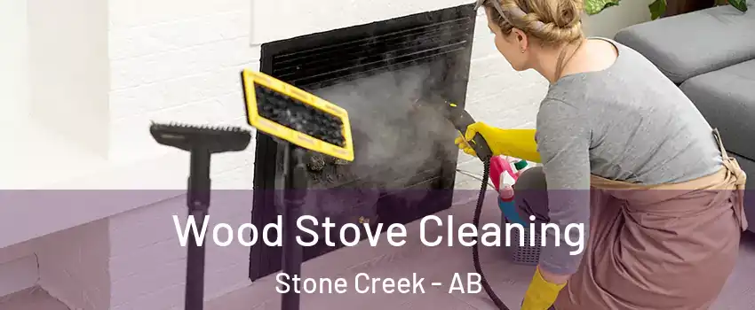  Wood Stove Cleaning Stone Creek - AB