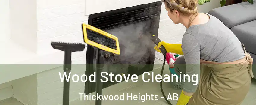  Wood Stove Cleaning Thickwood Heights - AB