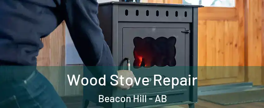  Wood Stove Repair Beacon Hill - AB